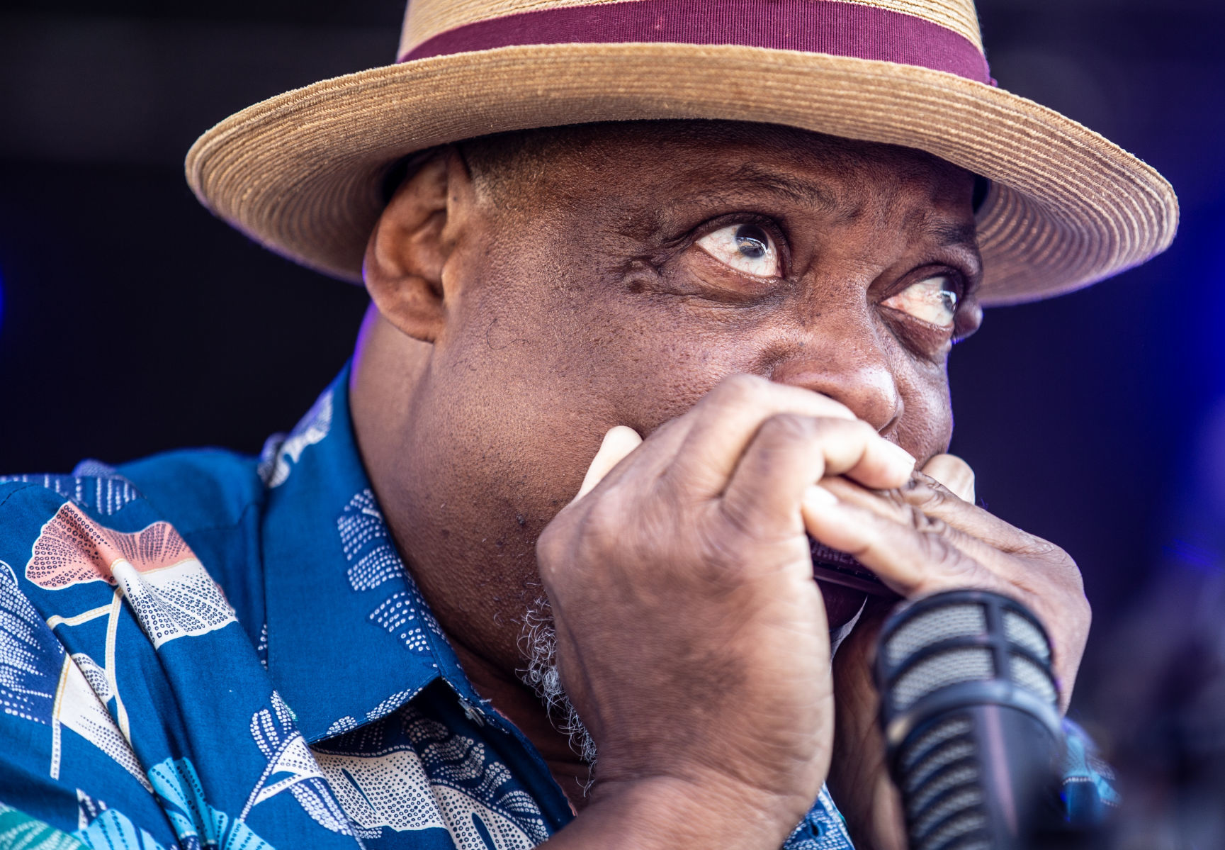 N.C. Folk Fest Saturday